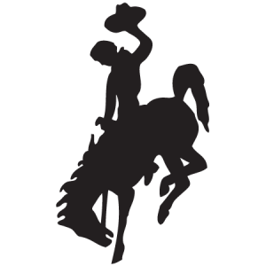 bucking bronco icon